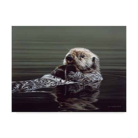 Ron Parker 'Just Resting Sea Otter' Canvas Art,35x47